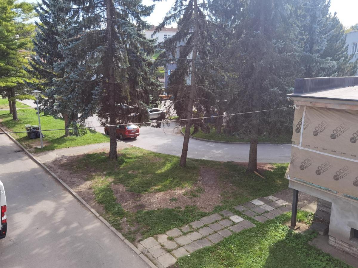 Apartment Ruza *